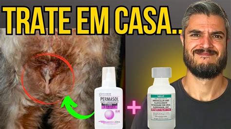 seco com cadela|COM Express®